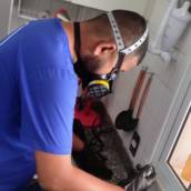 Tratamento contra formiga em Leblon