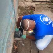 Tratamento contra rato em Leblon