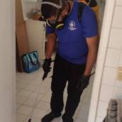 Tratamento contra pulgas em Leblon