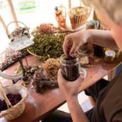 Fitoterapeuta em Bauru