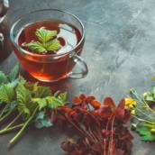 Terapeuta que faz avaliação diagnóstica para tratamento de doenças com plantas naturais em Bauru