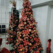Árvore de natal enfeitada 