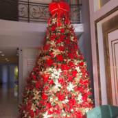 Árvore de natal grande enfeitada 