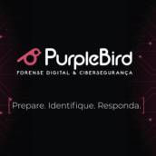 Serviços de Segurança da Informação – Proteção e Confiabilidade em São Paulo