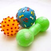 Brinquedos de pet
