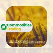 Commodities Trading 