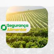 Segurança Alimentar