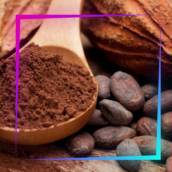 Ritual do Cacau Sagrado | Medicinas Indígenas