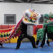 Dança do leão chinês em Bauru