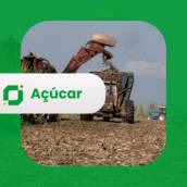 Açúcar