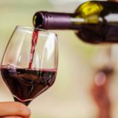 Vinho 