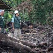 Embargo de Área/Atividade