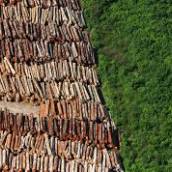 Ação Civil Pública Ambiental