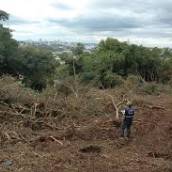 Ação Penal Ambiental
