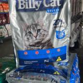 Ração premium para gatos 