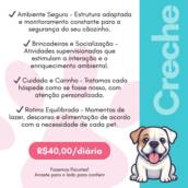 Creche para cachorro 