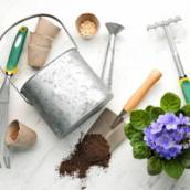 Material para Jardinagem 