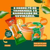 O sabor Tangerina agora está disponível nas versões pote e picolé.  