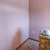 Pintura 