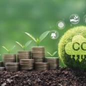 Certificação de créditos de carbono