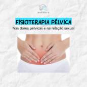 Fisioterapia Pélvica Nas dores pélvicas e na relação sexual