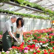 Compra de Flores Online Penha Garden - Conveniência e Beleza em São Paulo