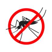 Tela mosqueteira contra dengue