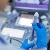 Ultrassonografia para controle de ovulação em Bauru