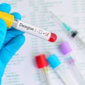 Exame de dengue 