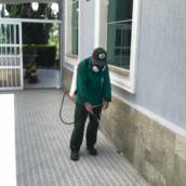 Controle de Mosquito Aedes aegypti/Mosquito da Dengue - Proteção Contra Epidemias - Cotia