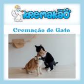 Onde encontrar serviço de Cremação de Gato em Itapetininga, Araçoiaba, Entre Outras