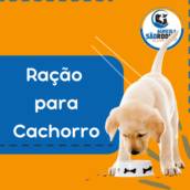Lugar para Comprar Ração de Cachorro Barata em Itapetininga 