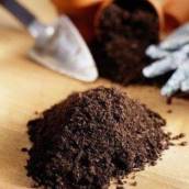 Terra Preta R$200,00