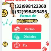 Banho e Tosa 