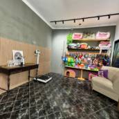 Pet Store - Conforto e Segurança para Seu Pet em Praia Grande