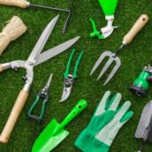 Empresa de Jardinagem: Seu Parceiro para Espaços Verdes em Cesário Lange