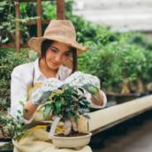Serviços de Jardinagem: Cuide do Seu Jardim com a Jard.Flor em Cesário Lange
