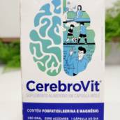 Vitamina para Saúde do Cérebro - Melhore Memória, Aprendizado, Atenção e Concentração em Lençóis Paulista