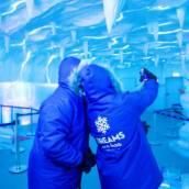Dreams ICE BAR