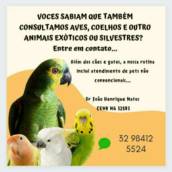 Vocês sabiam???