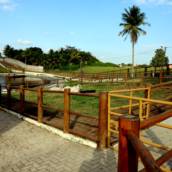 Pergolado, Quiosque, Cerca, Parque Infantil, Curral e Escora para Plantação – Soluções Personalizadas em Recife, PE