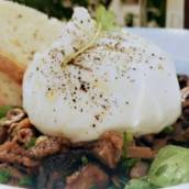 Burrata