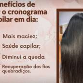 Cronograma Capilar