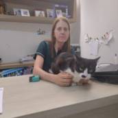 Clínica Veterinária para Cães e Gatos - Atendimento Completo e Especializado em São Manuel/SP
