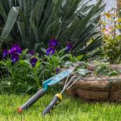Cuidados com o Jardim - Beleza e Saúde para Seu Espaço Verde em Peruíbe