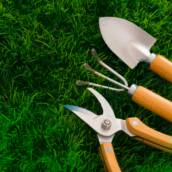 Corte de Grama - Manutenção de Alta Qualidade em Peruíbe