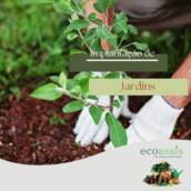Implantação de Jardins em Assis SP – Projetos Verdes Personalizados EcoAssis