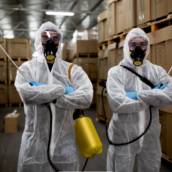 Dedetização Industrial