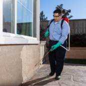 Dedetização em Casas