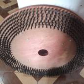 Escovão para Limpeza de Piso - Eficiência e Praticidade em Arapoti